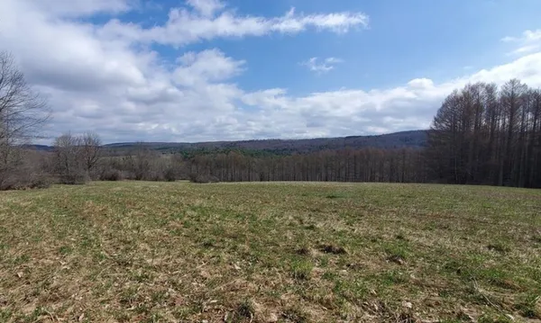 $79,900 | Goddards Road, Mount Vision, NY 13810