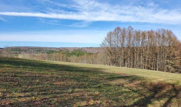 $79,900 | Goddards Road, Mount Vision, NY 13810