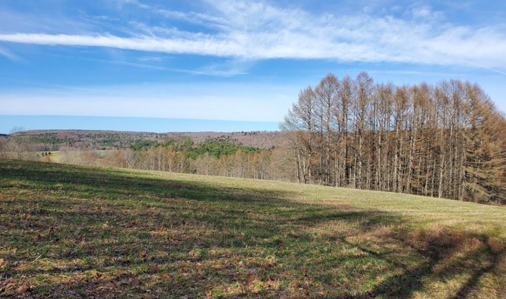 Goddards Road Mount Vision, NY 13810 - Photo 4 of 11