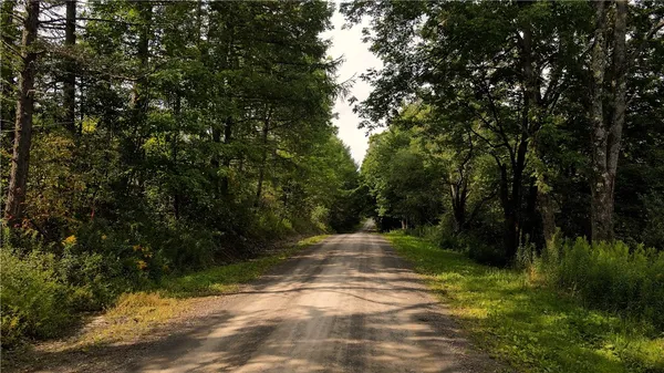 $79,900 | Goddards Road, Mount Vision, NY 13810