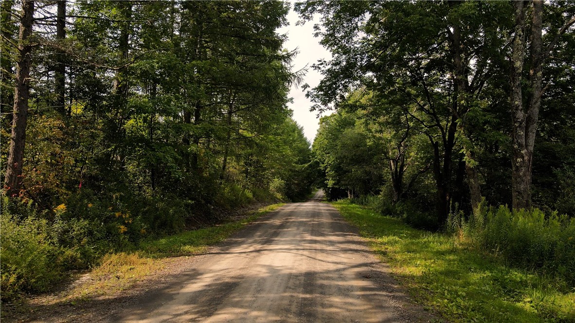 Goddards Road Mount Vision, NY 13810 - Photo 5 of 11