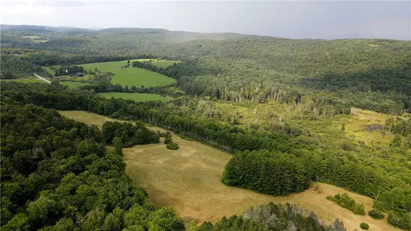$79,900 | Goddards Road, Mount Vision, NY 13810