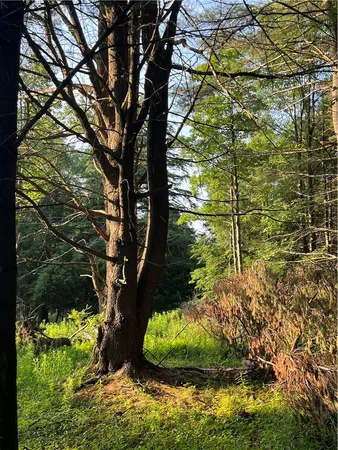 $79,900 | Goddards Road, Mount Vision, NY 13810