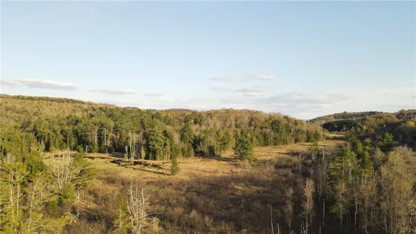 $79,900 | Goddards Road, Mount Vision, NY 13810