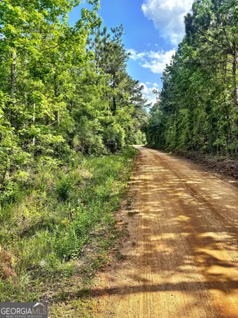 $49,500 | O Johnson Road, Musella, GA 31066
