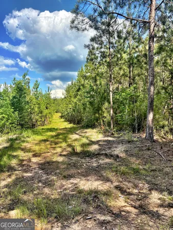 $49,500 | O Johnson Road, Musella, GA 31066