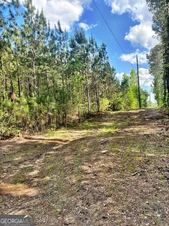 $49,500 | O Johnson Road, Musella, GA 31066