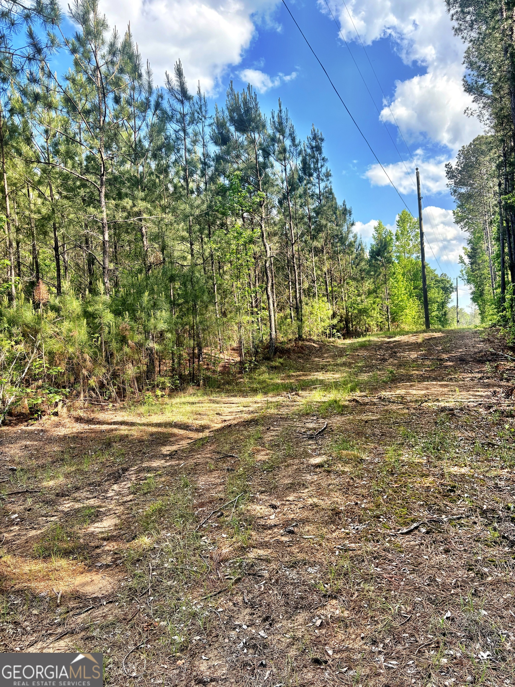 0 Johnson Road Musella, GA 31066 - Photo 4 of 5 a view of a yard with a tree