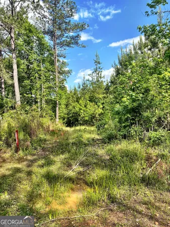 $49,500 | O Johnson Road, Musella, GA 31066