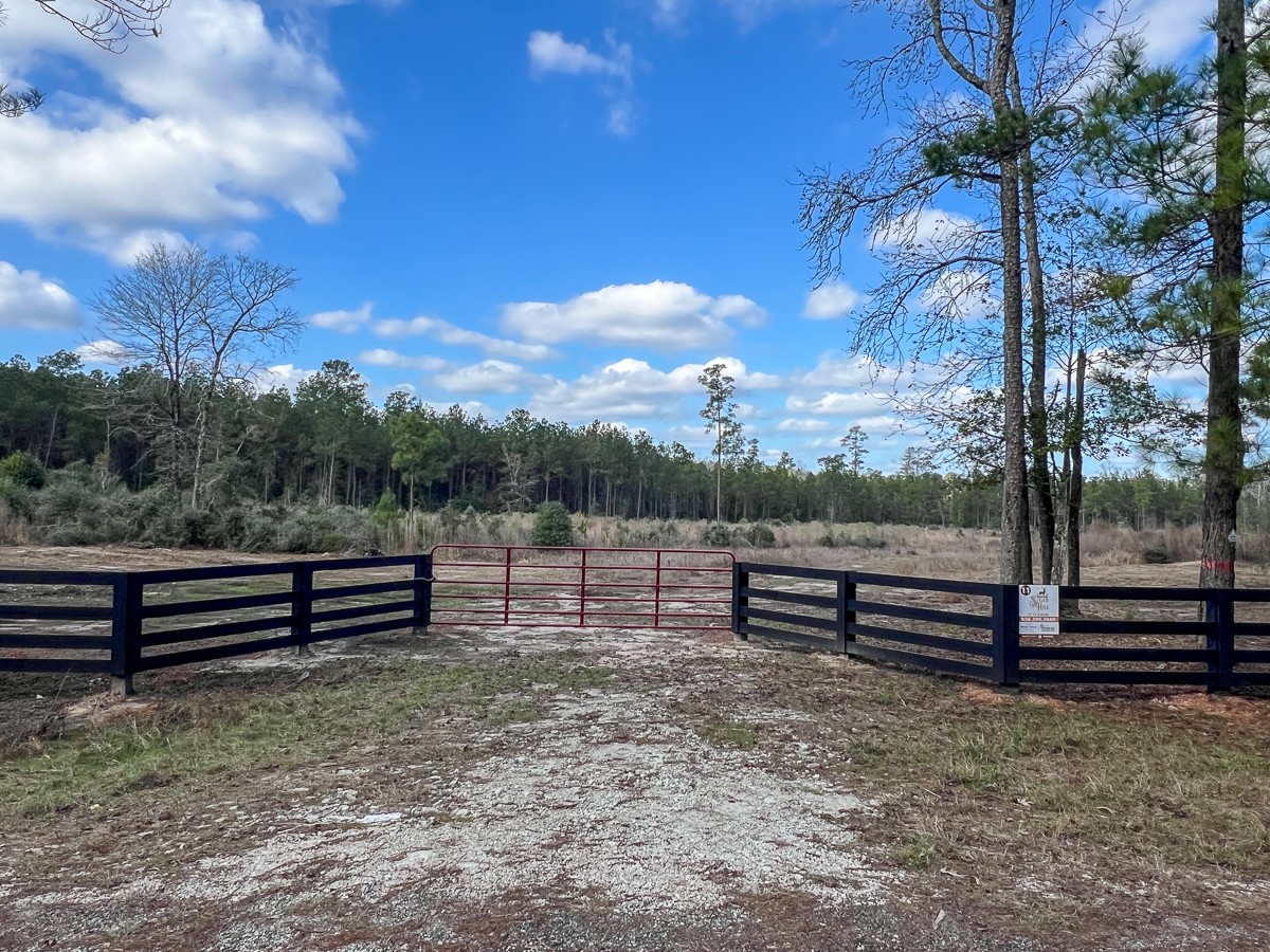 11 Sugar Hill Road Livingston, TX 77351 - Photo 2 of 26