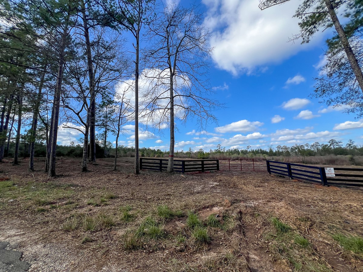 11 Sugar Hill Road Livingston, TX 77351 - Photo 24 of 26