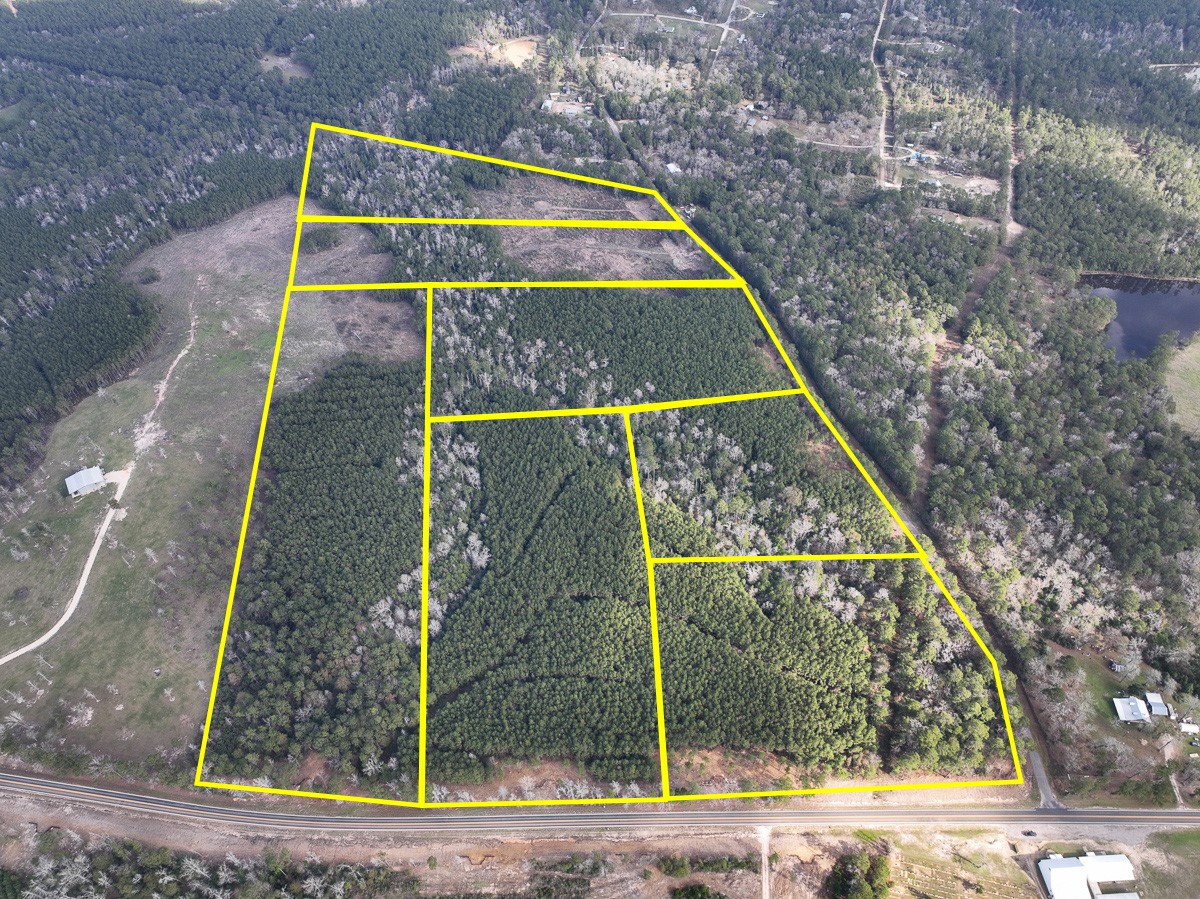 11 Sugar Hill Road Livingston, TX 77351 - Photo 3 of 26