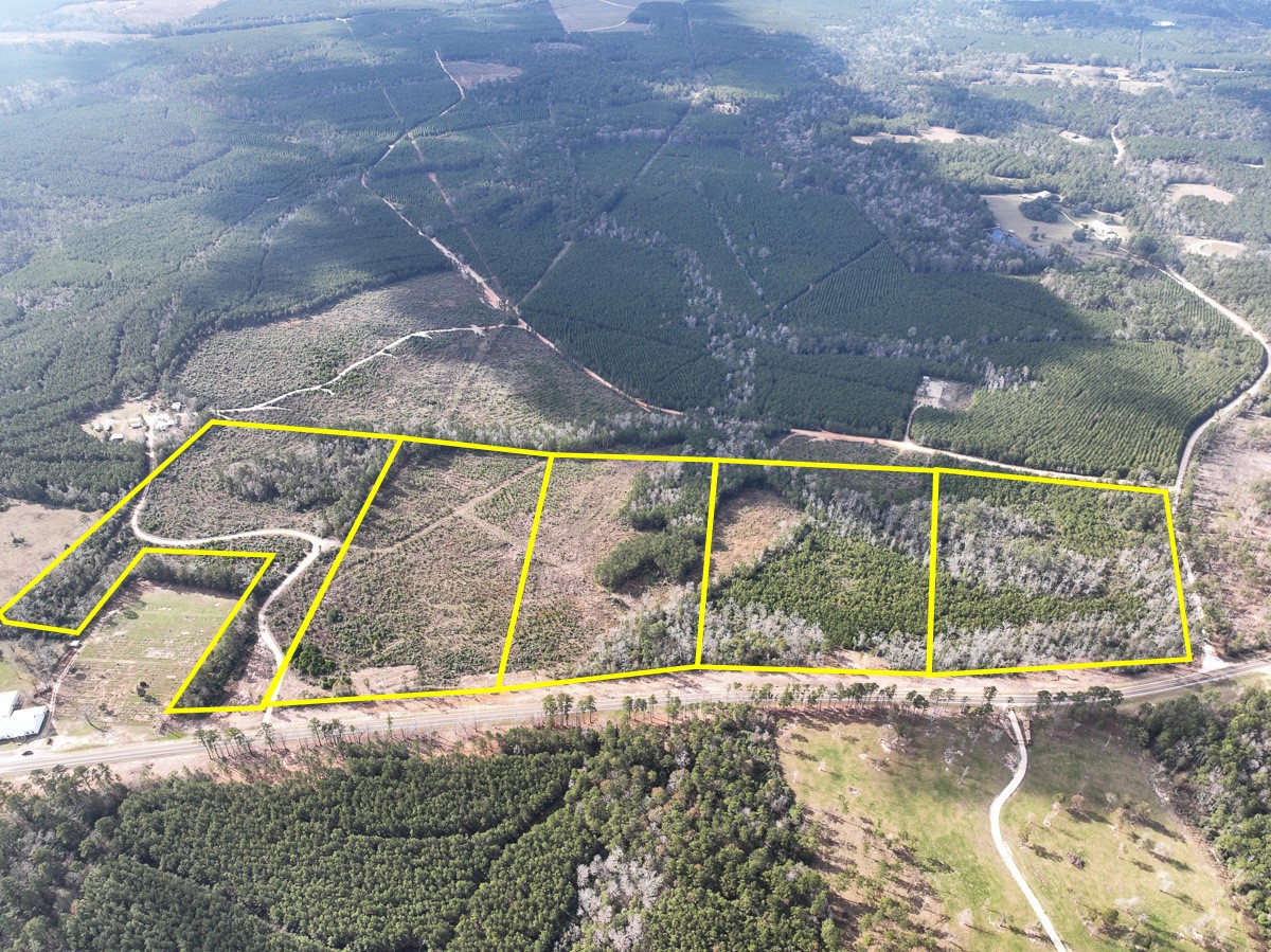 11 Sugar Hill Road Livingston, TX 77351 - Photo 4 of 26