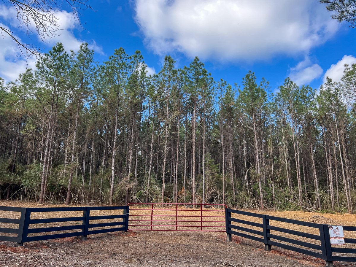 11 Sugar Hill Road Livingston, TX 77351 - Photo 5 of 26