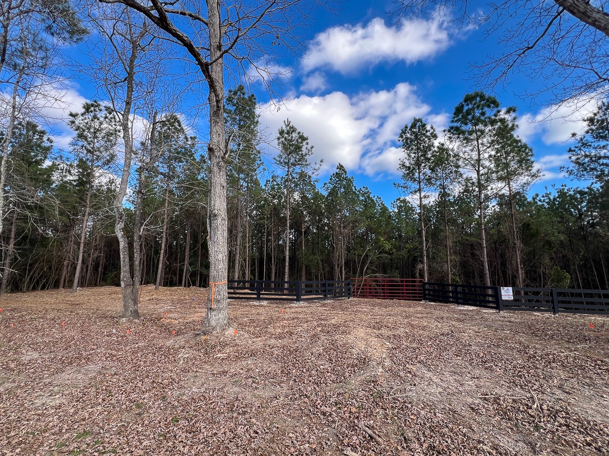 11 Sugar Hill Road Livingston, TX 77351 - Photo 8 of 26