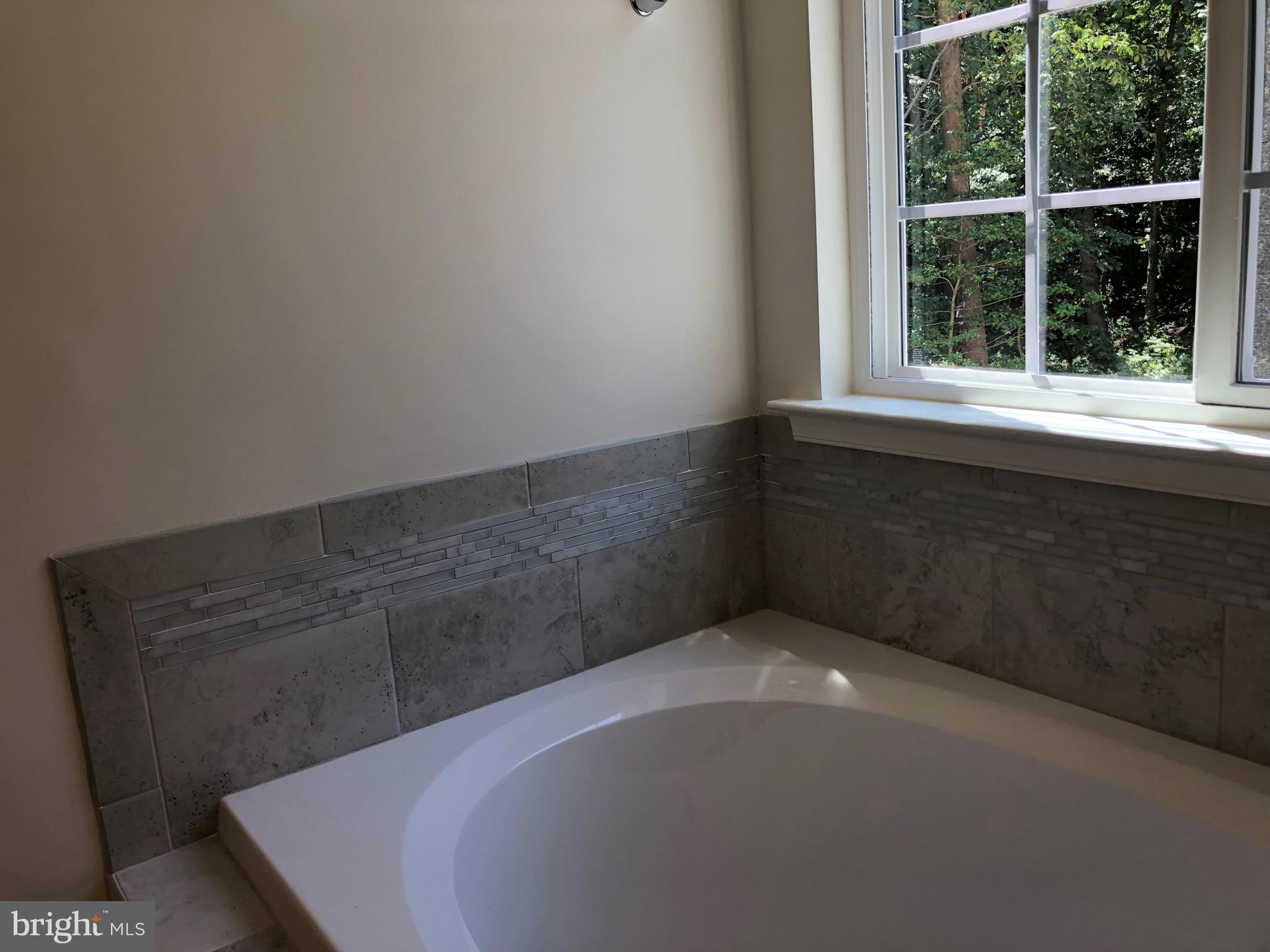 35 Sparrows Way Elkton, MD 21921 - Photo 9 of 15 Lovely tile work around soaking tub in master BR.
