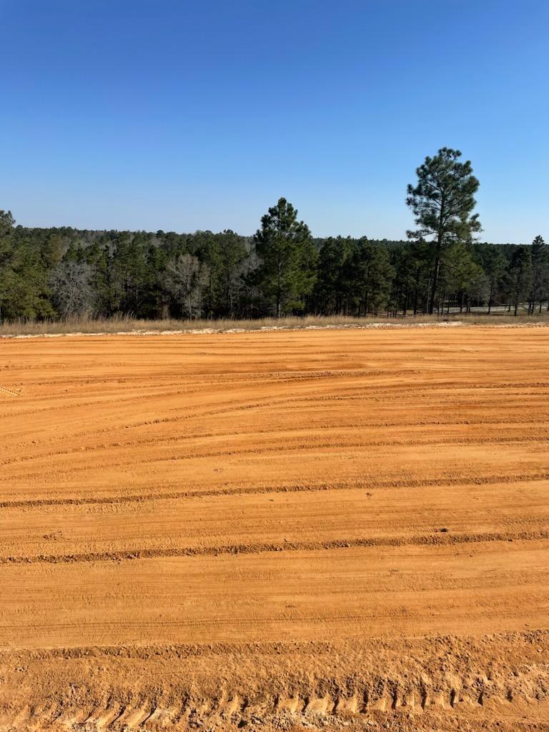 S/sd S/sd S/sd Of Joyner Pond Road Windsor, SC 29856 - Photo 12 of 21