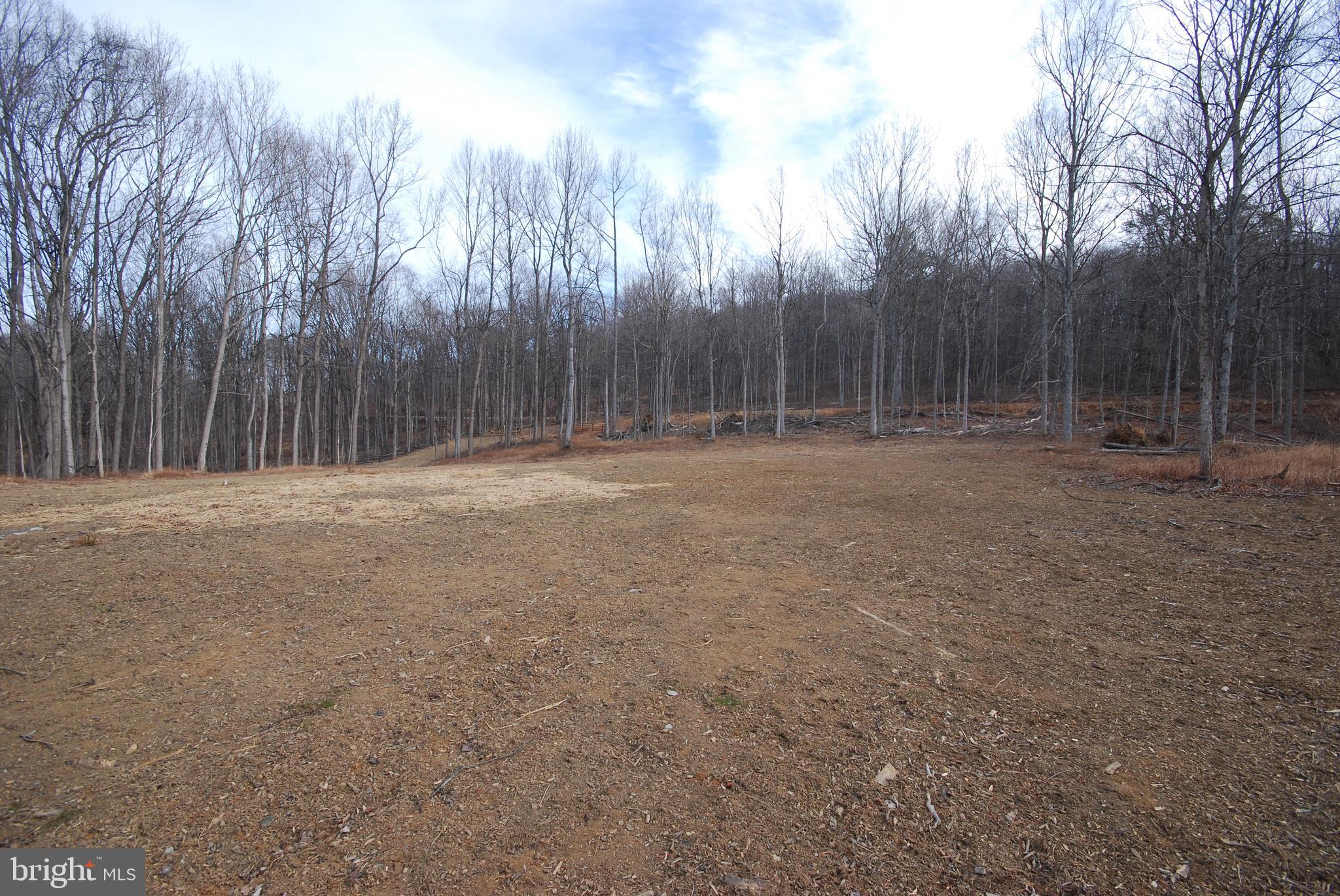 Sir Johns Run Road Berkeley Springs, WV 25411 - Photo 11 of 64