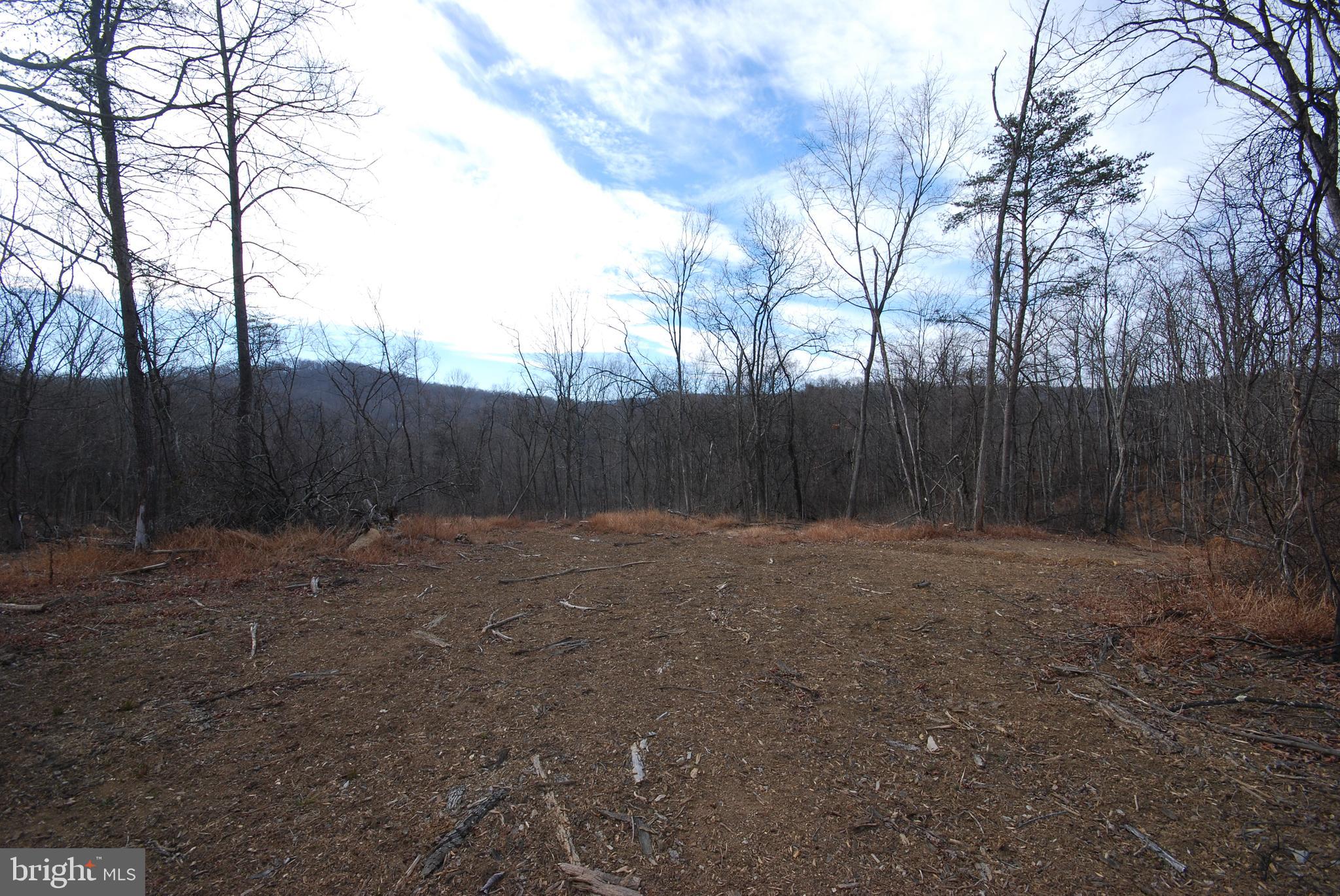 Sir Johns Run Road Berkeley Springs, WV 25411 - Photo 12 of 64