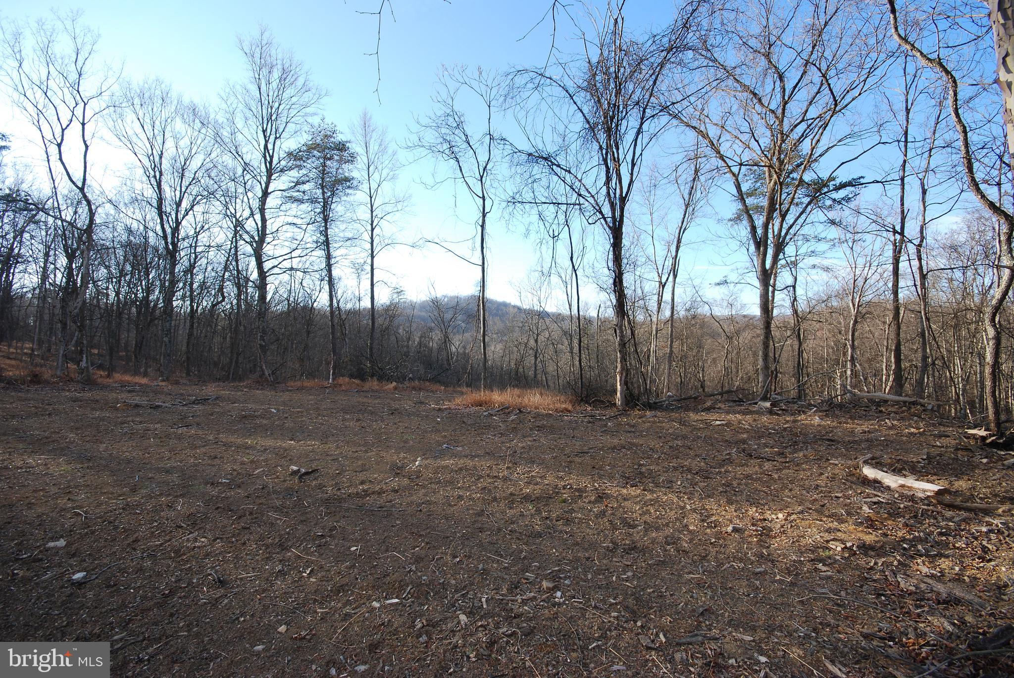 Sir Johns Run Road Berkeley Springs, WV 25411 - Photo 13 of 64