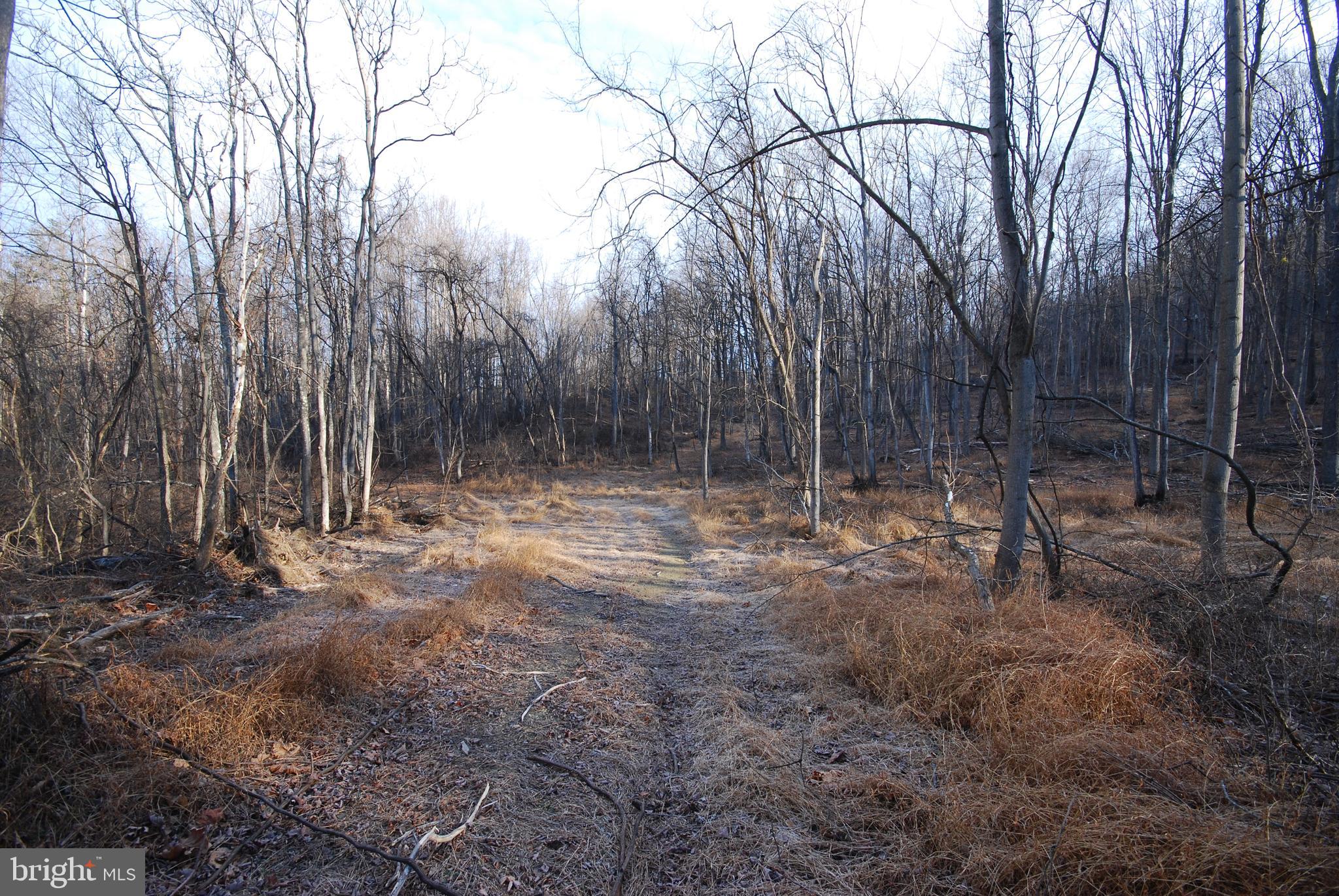 Sir Johns Run Road Berkeley Springs, WV 25411 - Photo 14 of 64