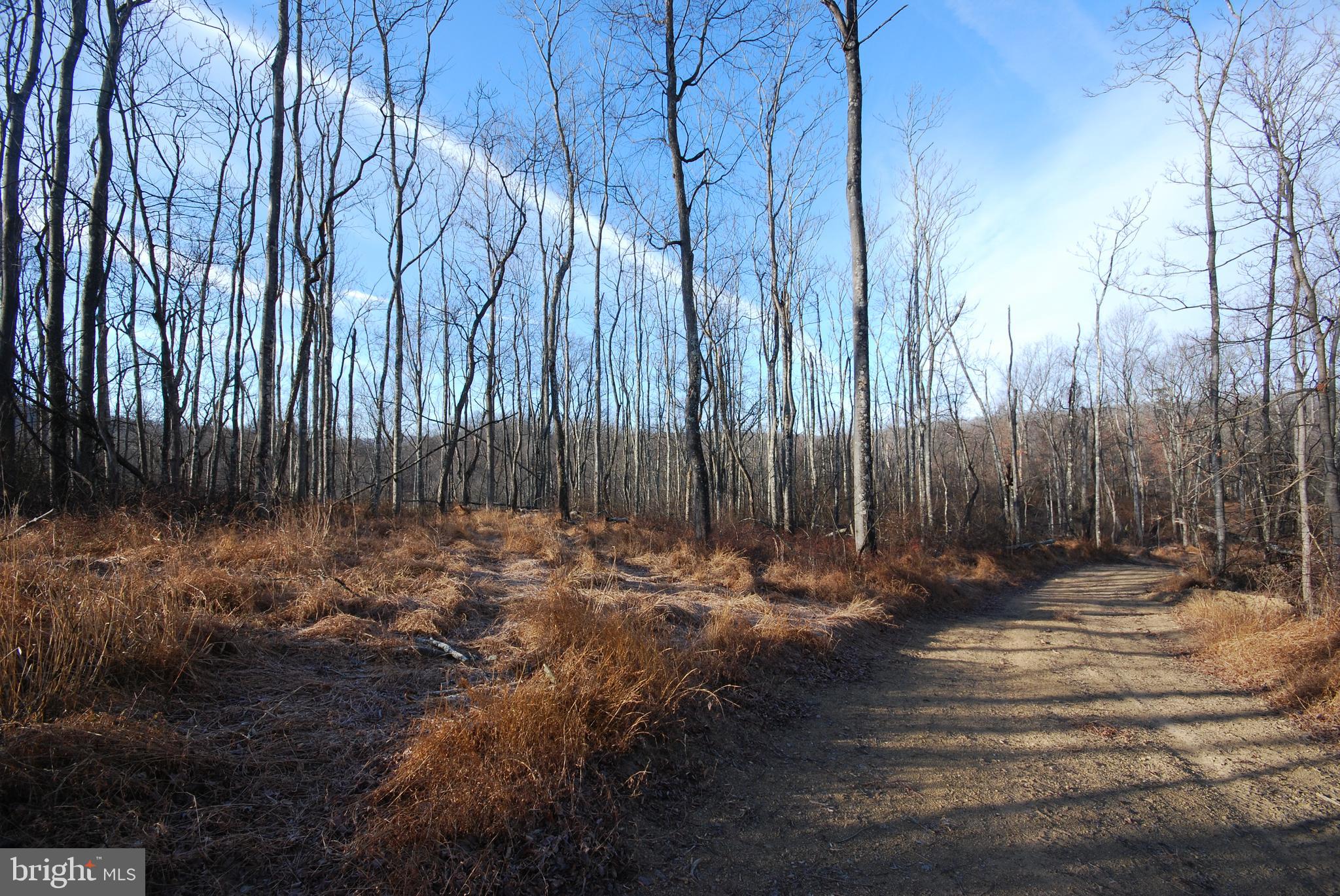Sir Johns Run Road Berkeley Springs, WV 25411 - Photo 15 of 64