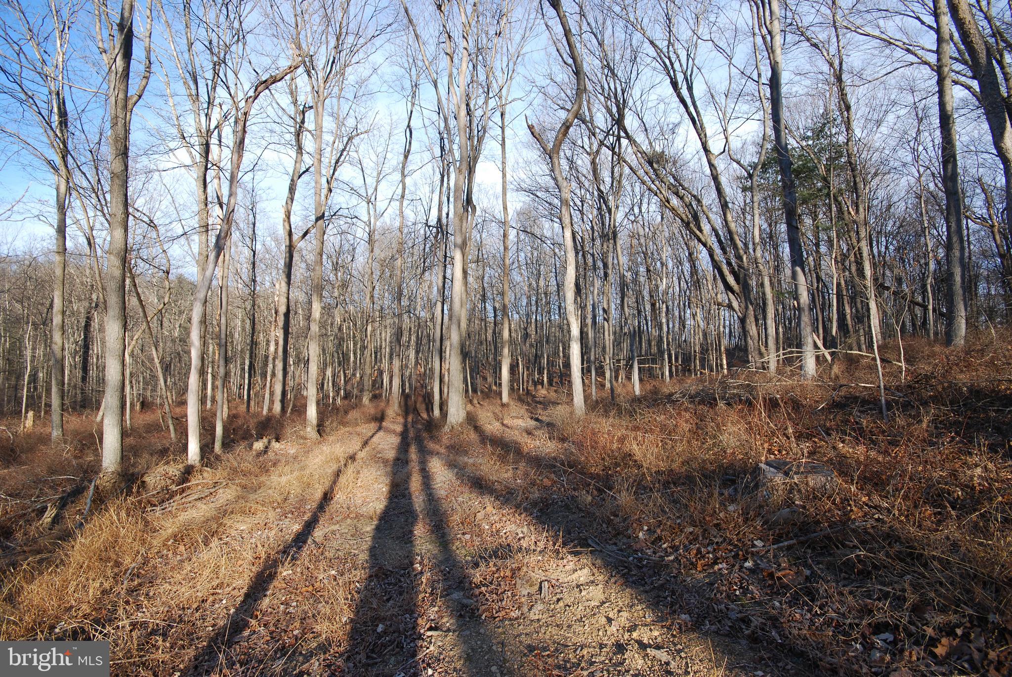 Sir Johns Run Road Berkeley Springs, WV 25411 - Photo 18 of 64