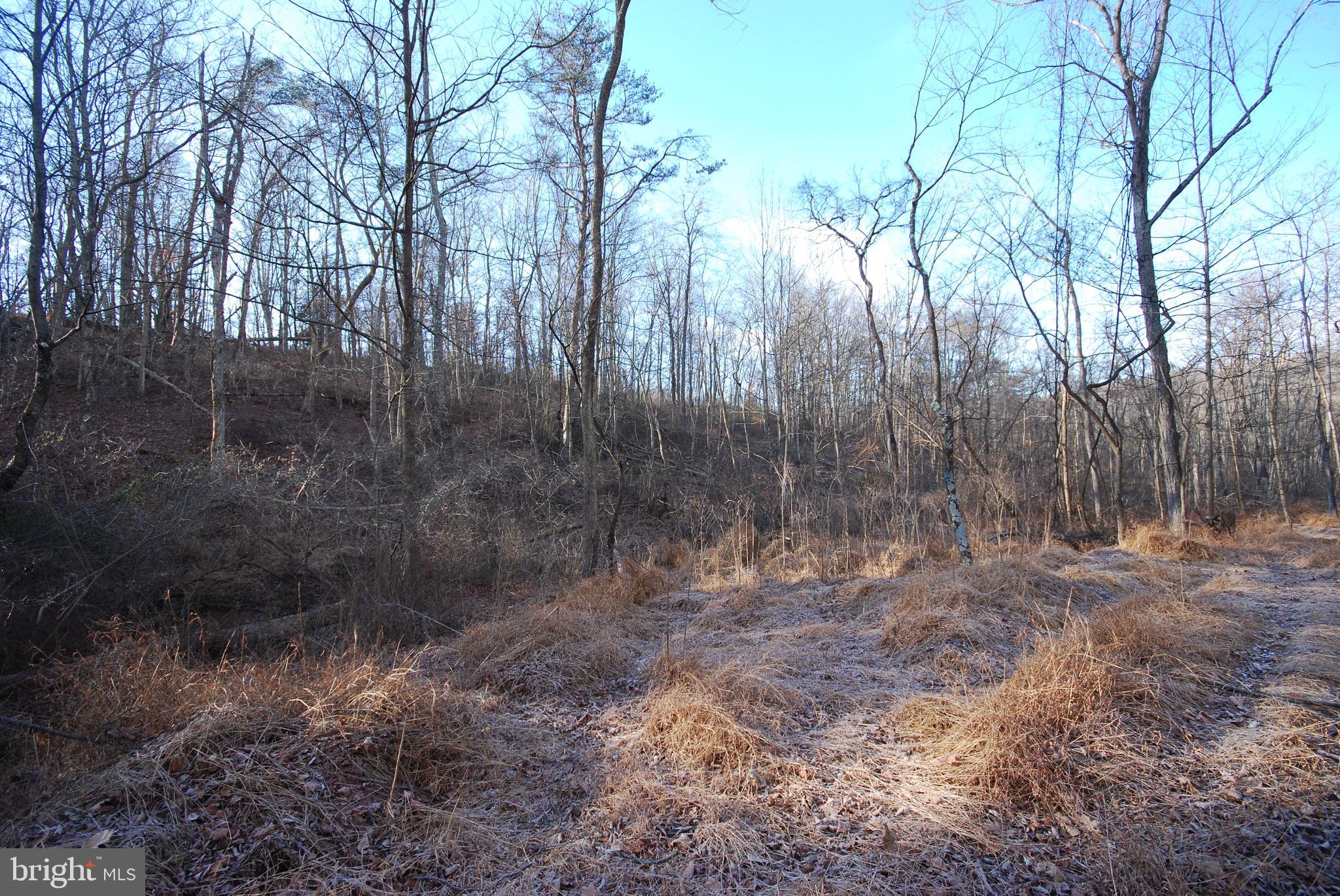 Sir Johns Run Road Berkeley Springs, WV 25411 - Photo 19 of 64