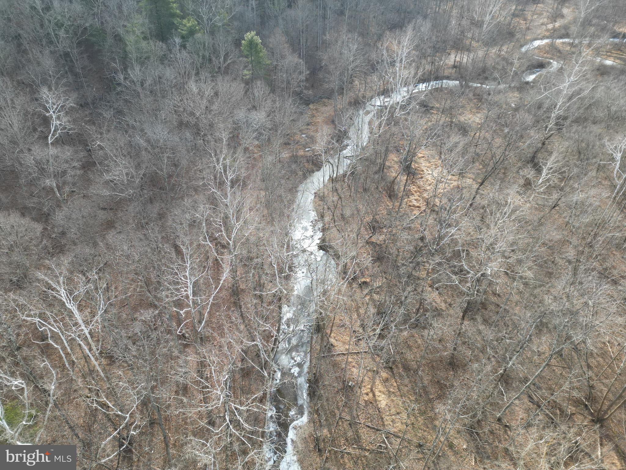 Sir Johns Run Road Berkeley Springs, WV 25411 - Photo 2 of 64