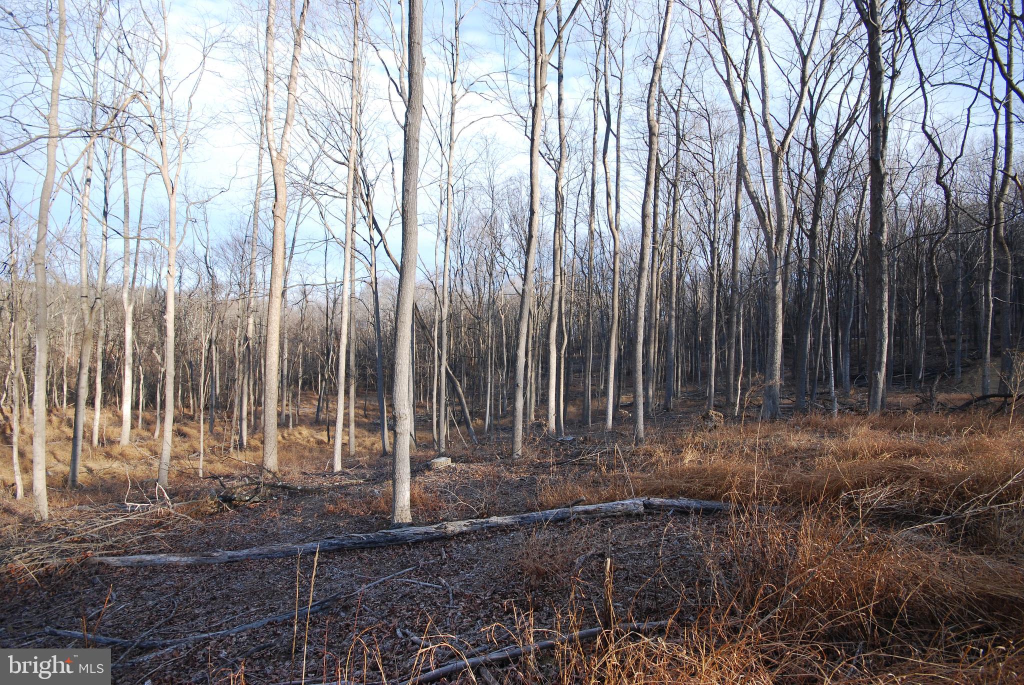 Sir Johns Run Road Berkeley Springs, WV 25411 - Photo 21 of 64