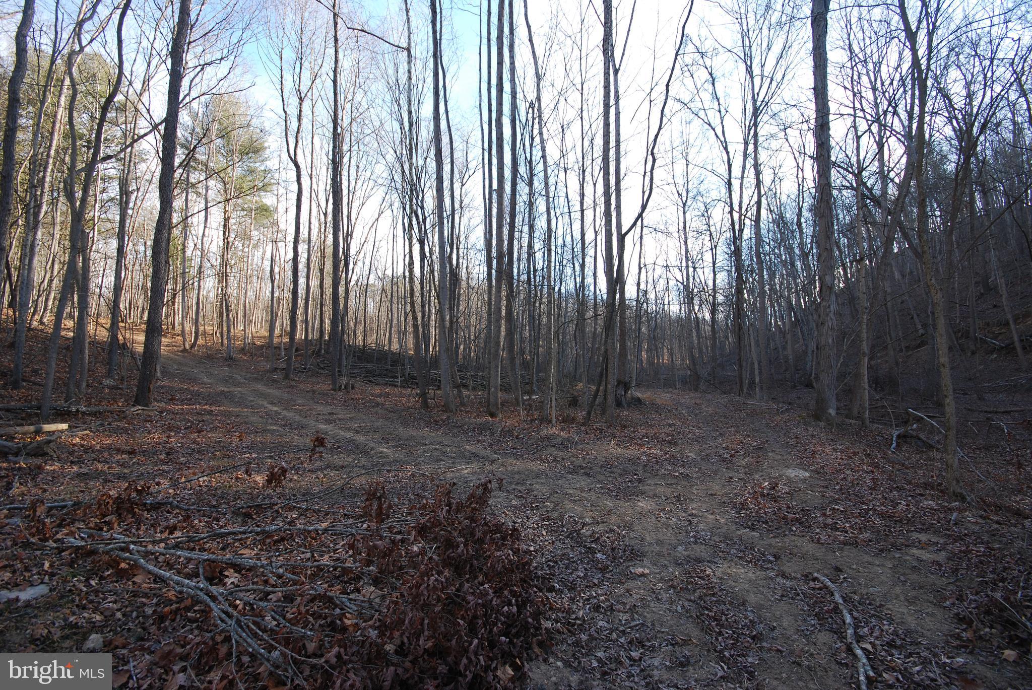 Sir Johns Run Road Berkeley Springs, WV 25411 - Photo 22 of 64