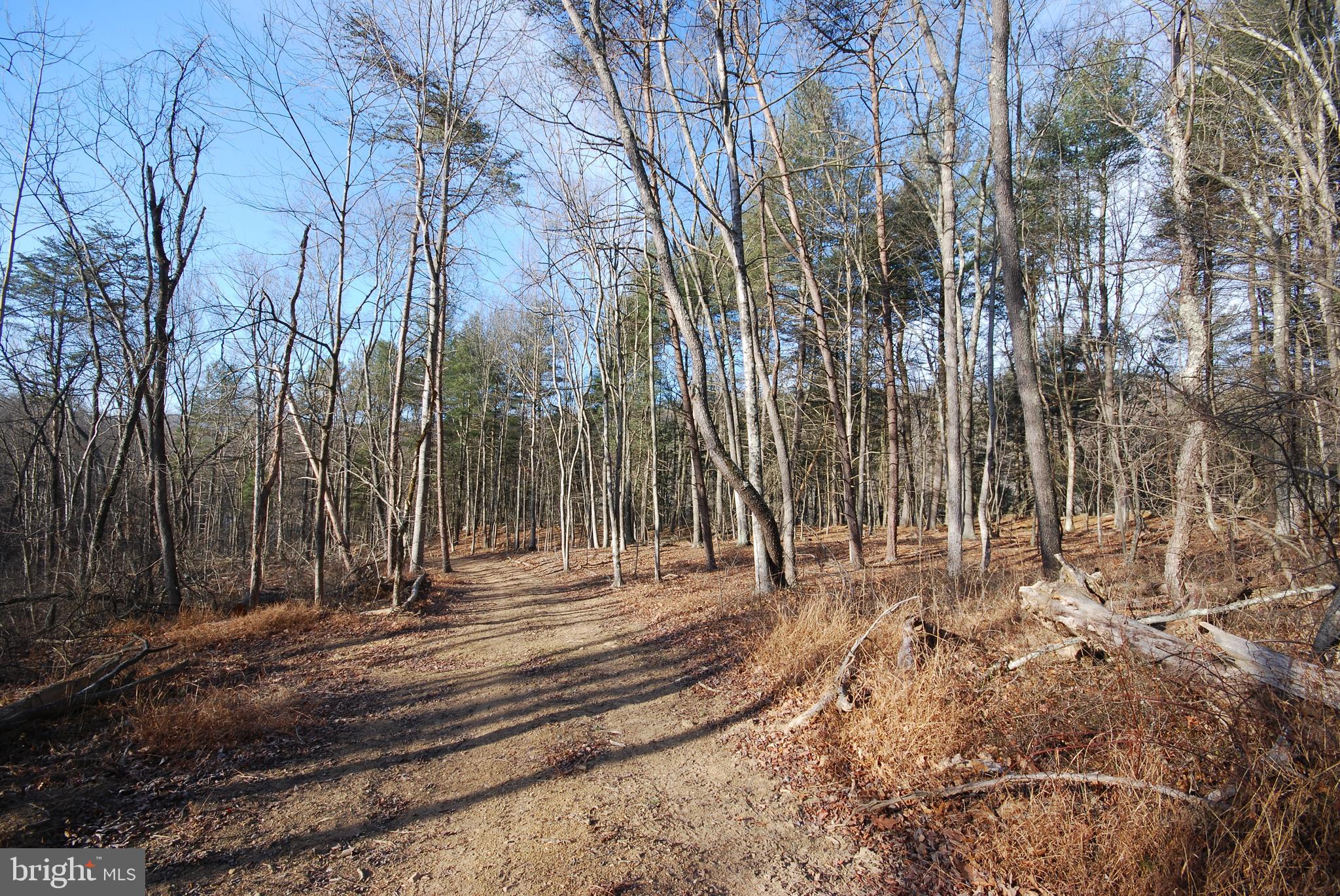 Sir Johns Run Road Berkeley Springs, WV 25411 - Photo 23 of 64