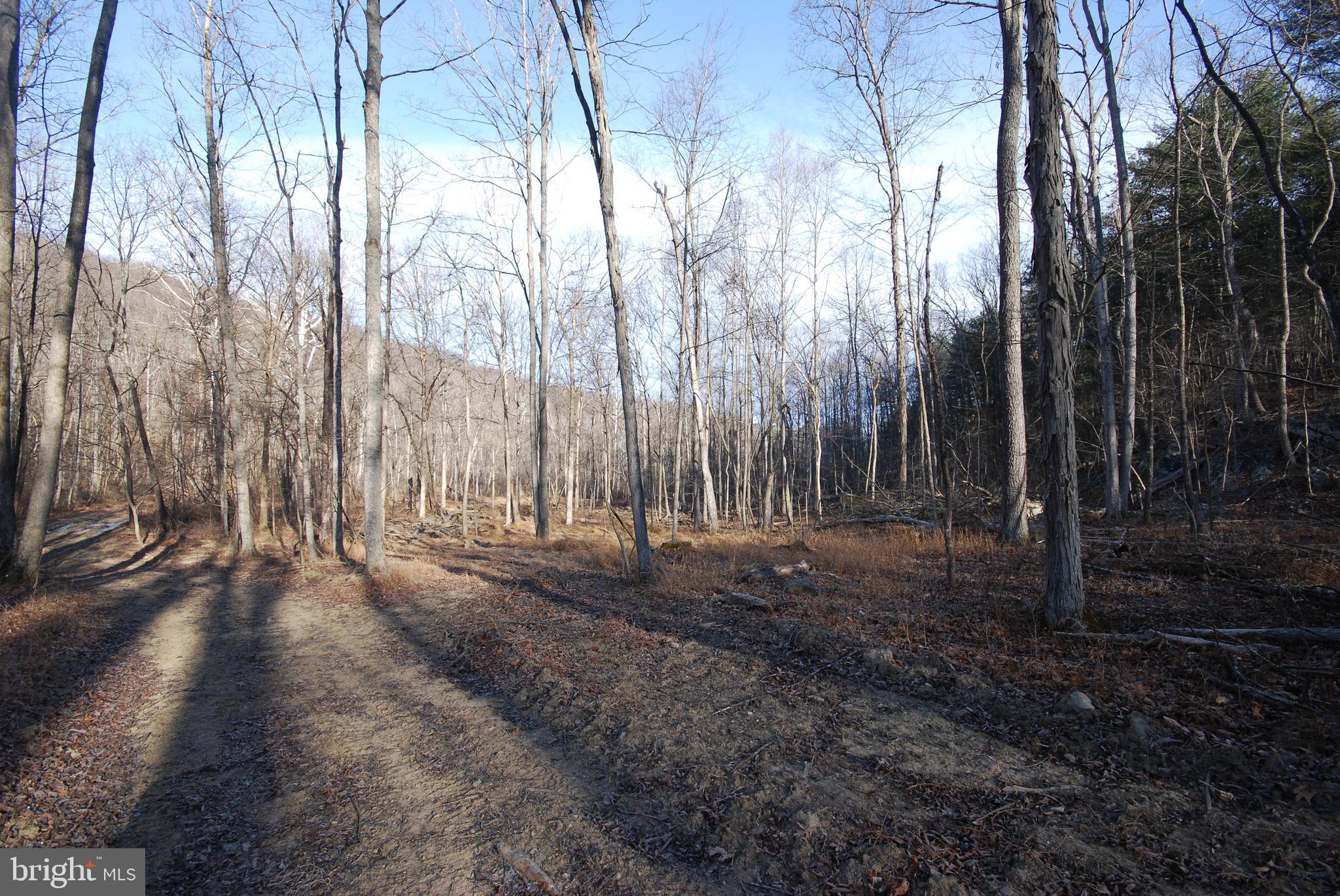 Sir Johns Run Road Berkeley Springs, WV 25411 - Photo 24 of 64