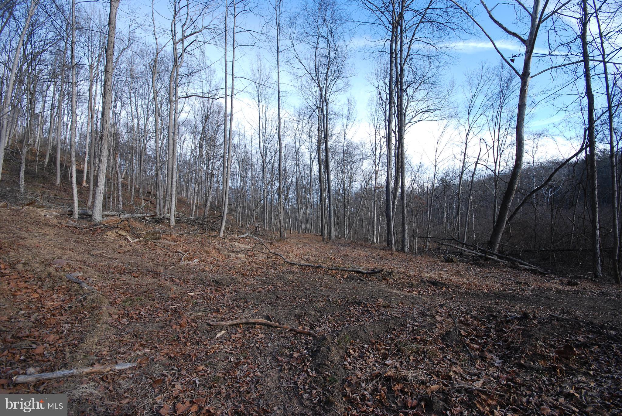 Sir Johns Run Road Berkeley Springs, WV 25411 - Photo 25 of 64