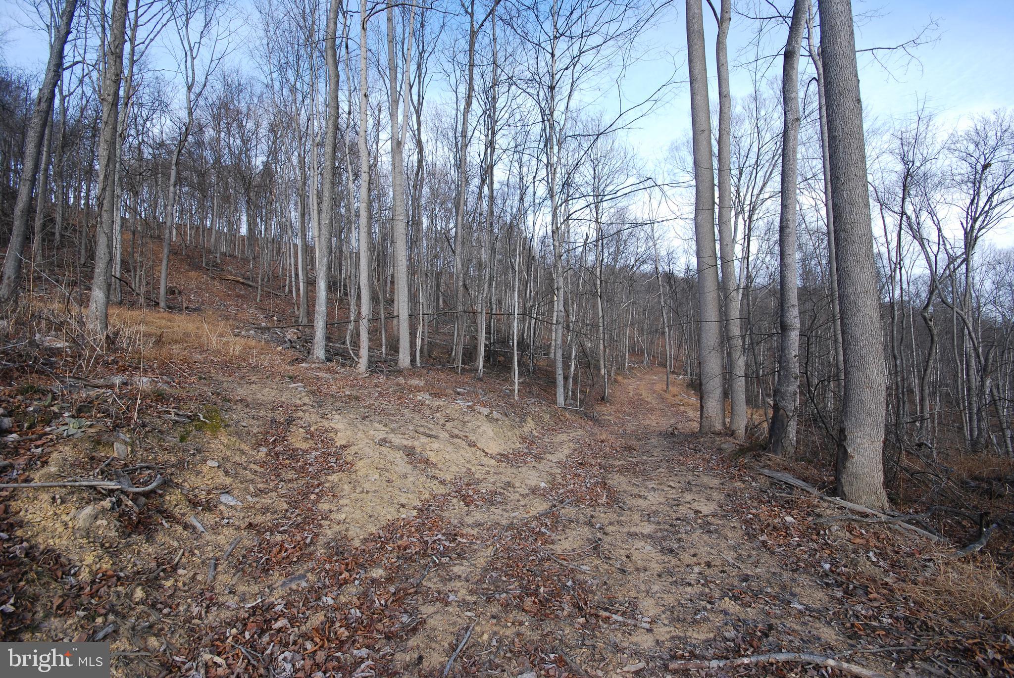 Sir Johns Run Road Berkeley Springs, WV 25411 - Photo 26 of 64