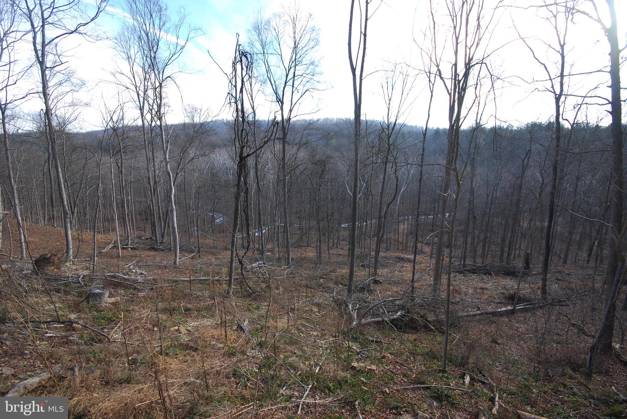 Sir Johns Run Road Berkeley Springs, WV 25411 - Photo 27 of 64