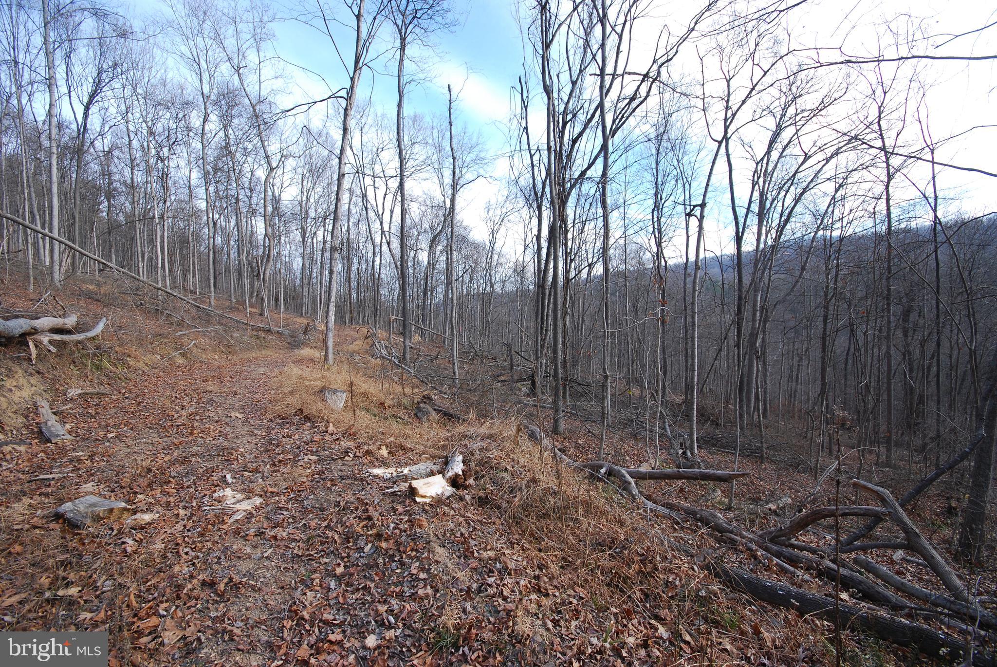 Sir Johns Run Road Berkeley Springs, WV 25411 - Photo 29 of 64