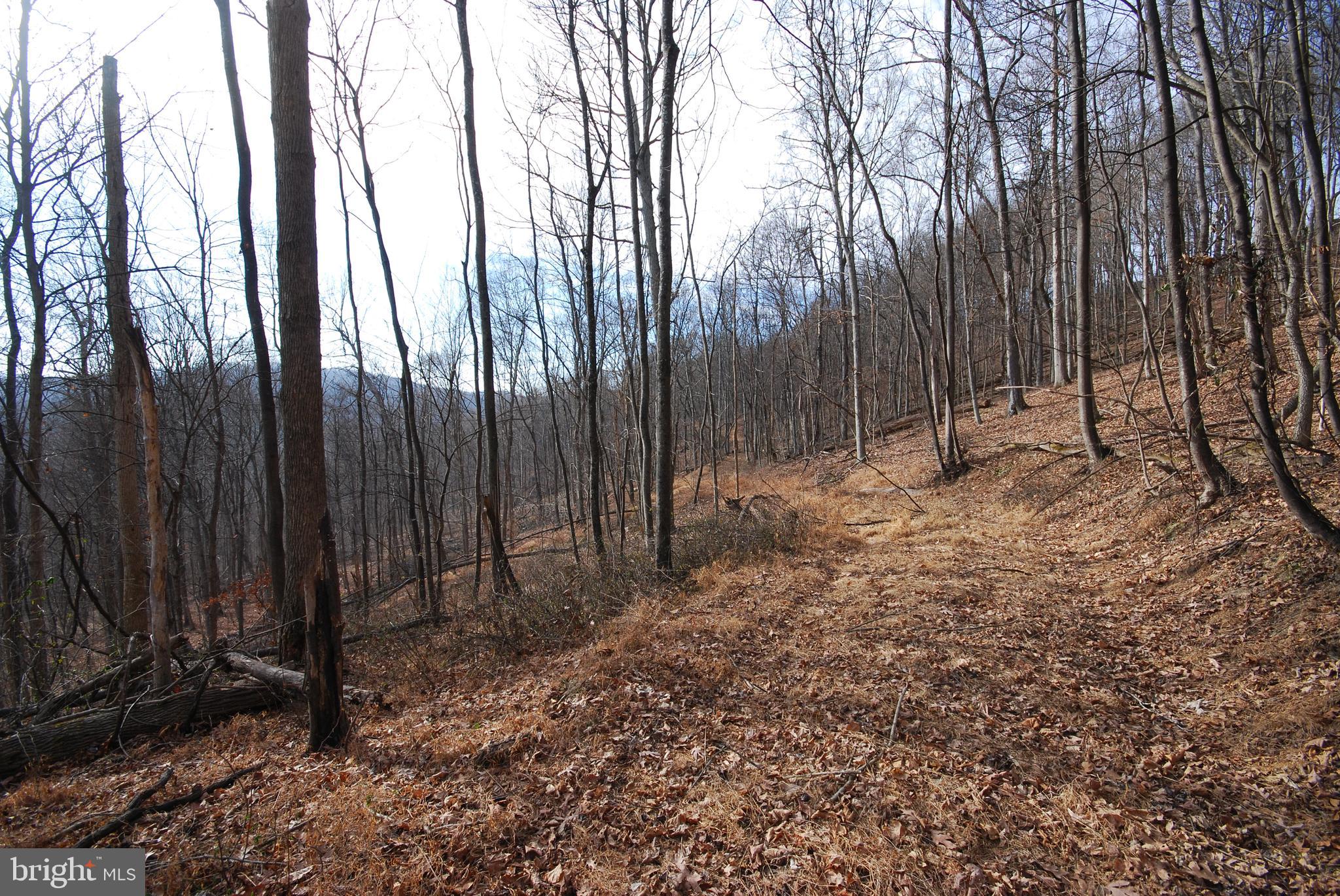 Sir Johns Run Road Berkeley Springs, WV 25411 - Photo 30 of 64