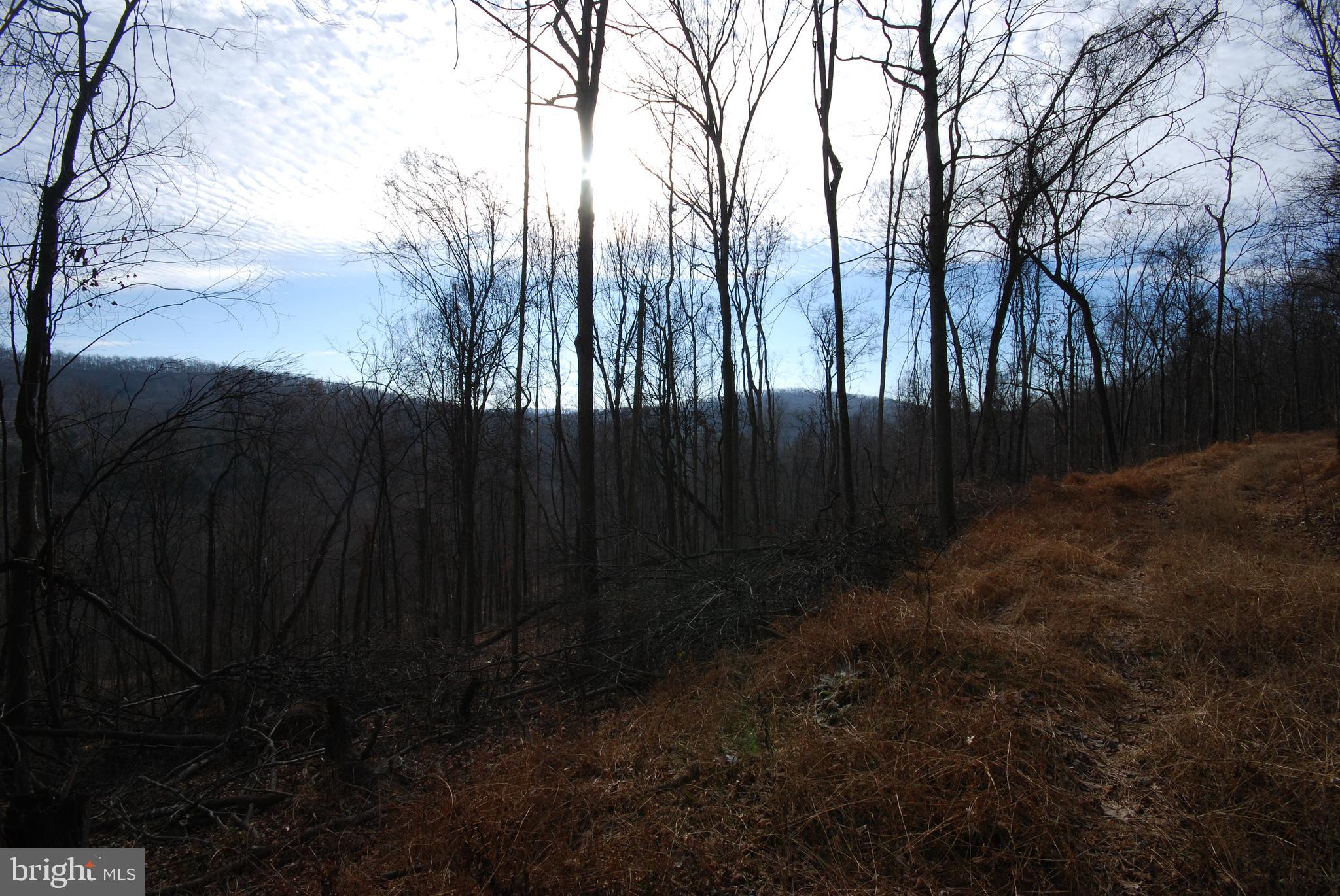 Sir Johns Run Road Berkeley Springs, WV 25411 - Photo 31 of 64