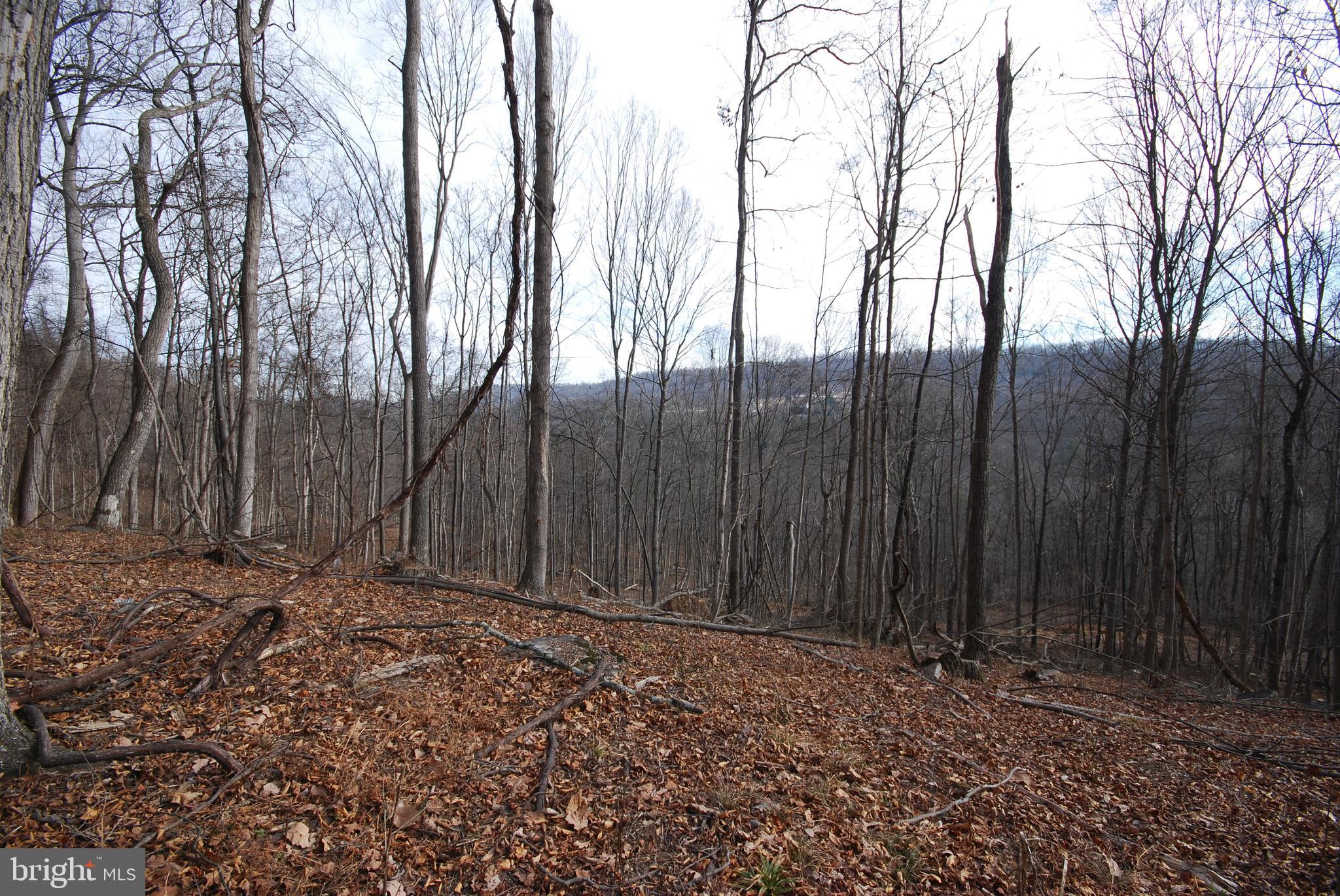 Sir Johns Run Road Berkeley Springs, WV 25411 - Photo 32 of 64