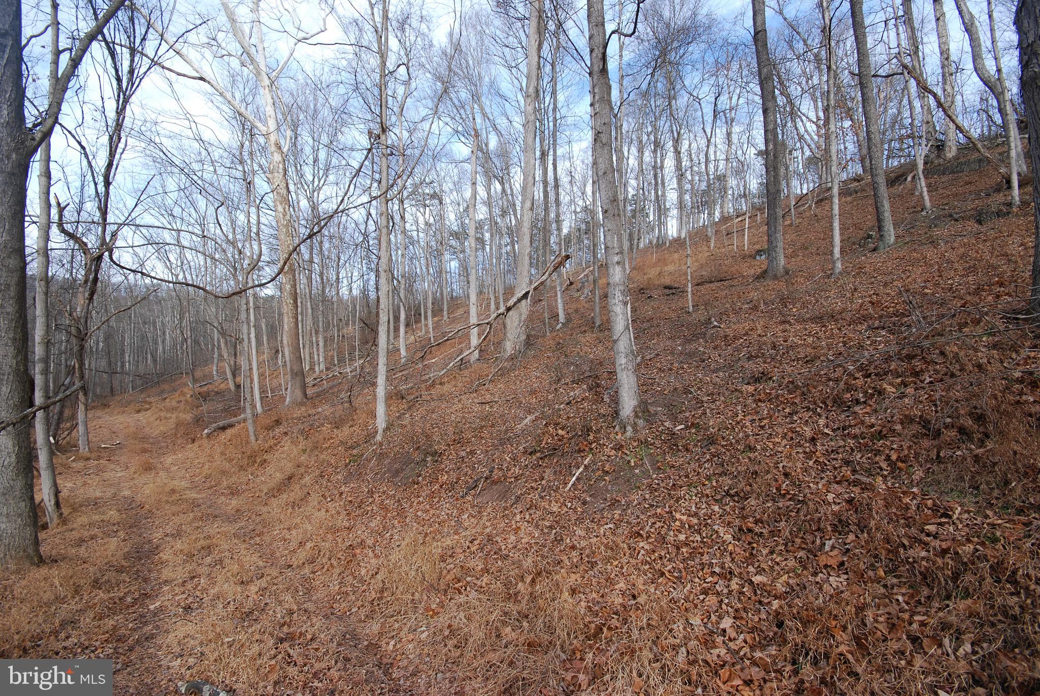 Sir Johns Run Road Berkeley Springs, WV 25411 - Photo 36 of 64