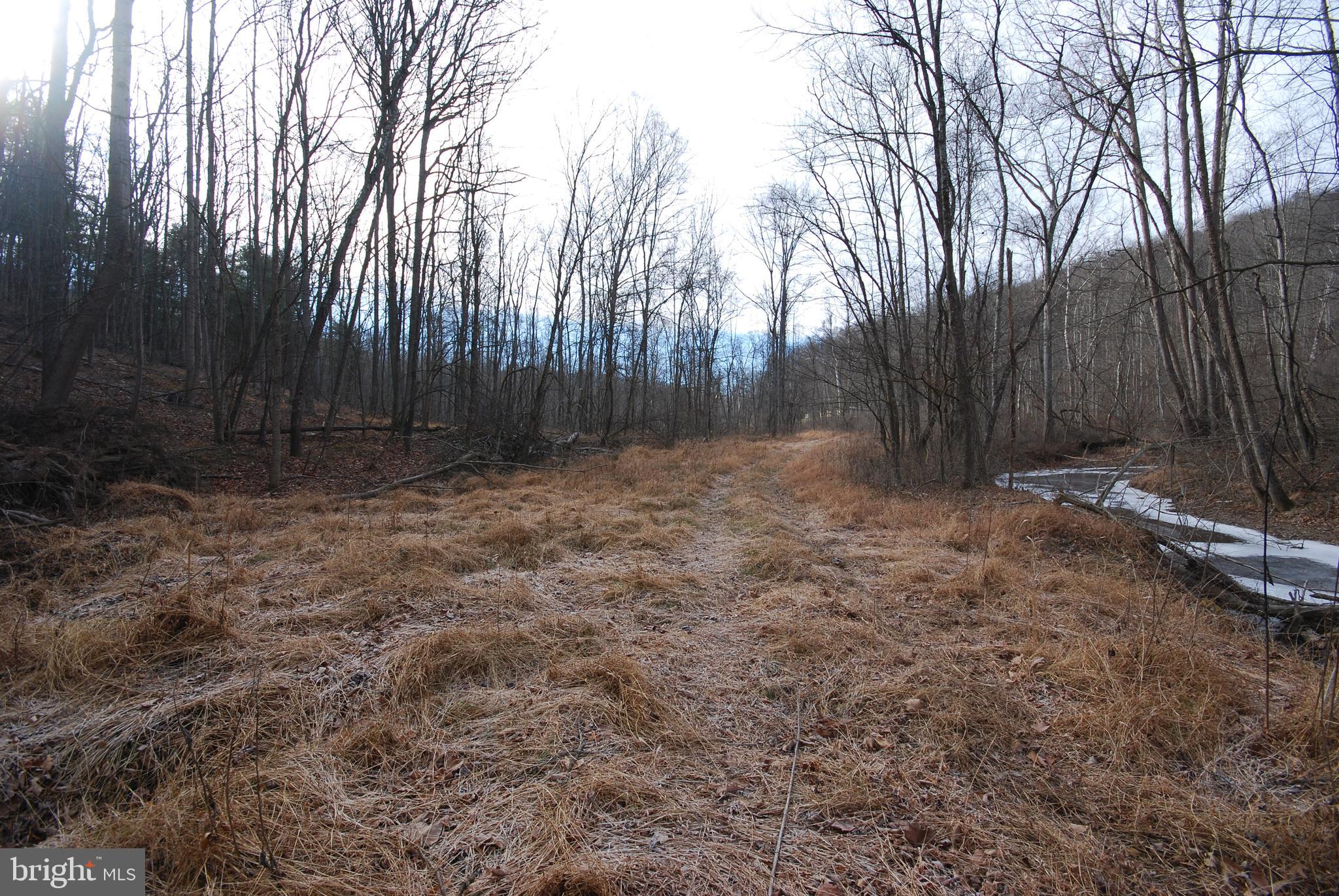 Sir Johns Run Road Berkeley Springs, WV 25411 - Photo 37 of 64