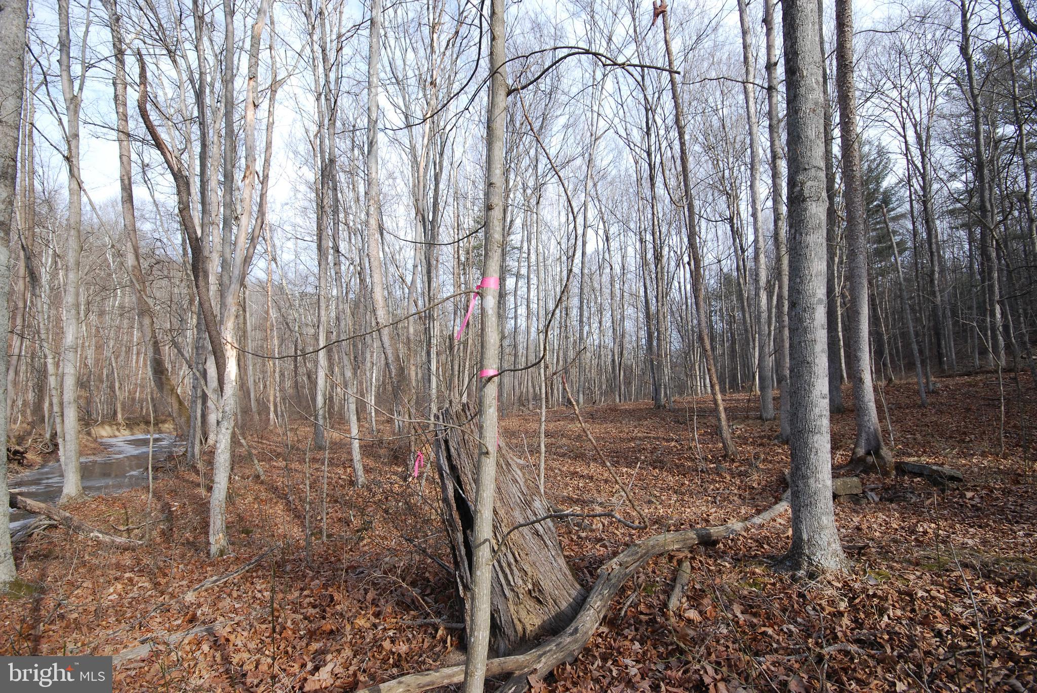 Sir Johns Run Road Berkeley Springs, WV 25411 - Photo 38 of 64