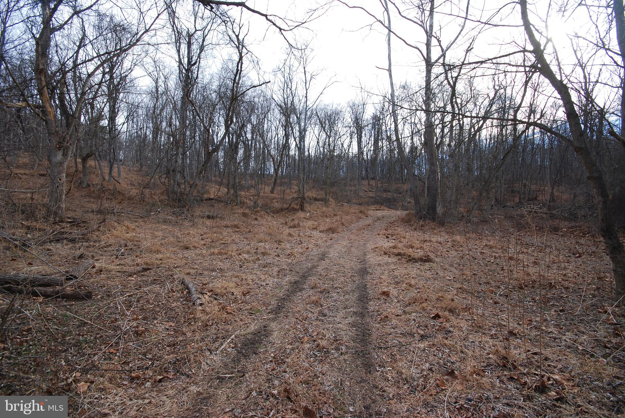 Sir Johns Run Road Berkeley Springs, WV 25411 - Photo 39 of 64