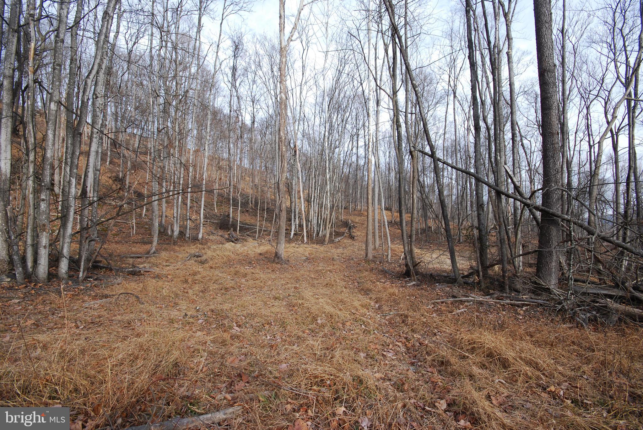 Sir Johns Run Road Berkeley Springs, WV 25411 - Photo 40 of 64