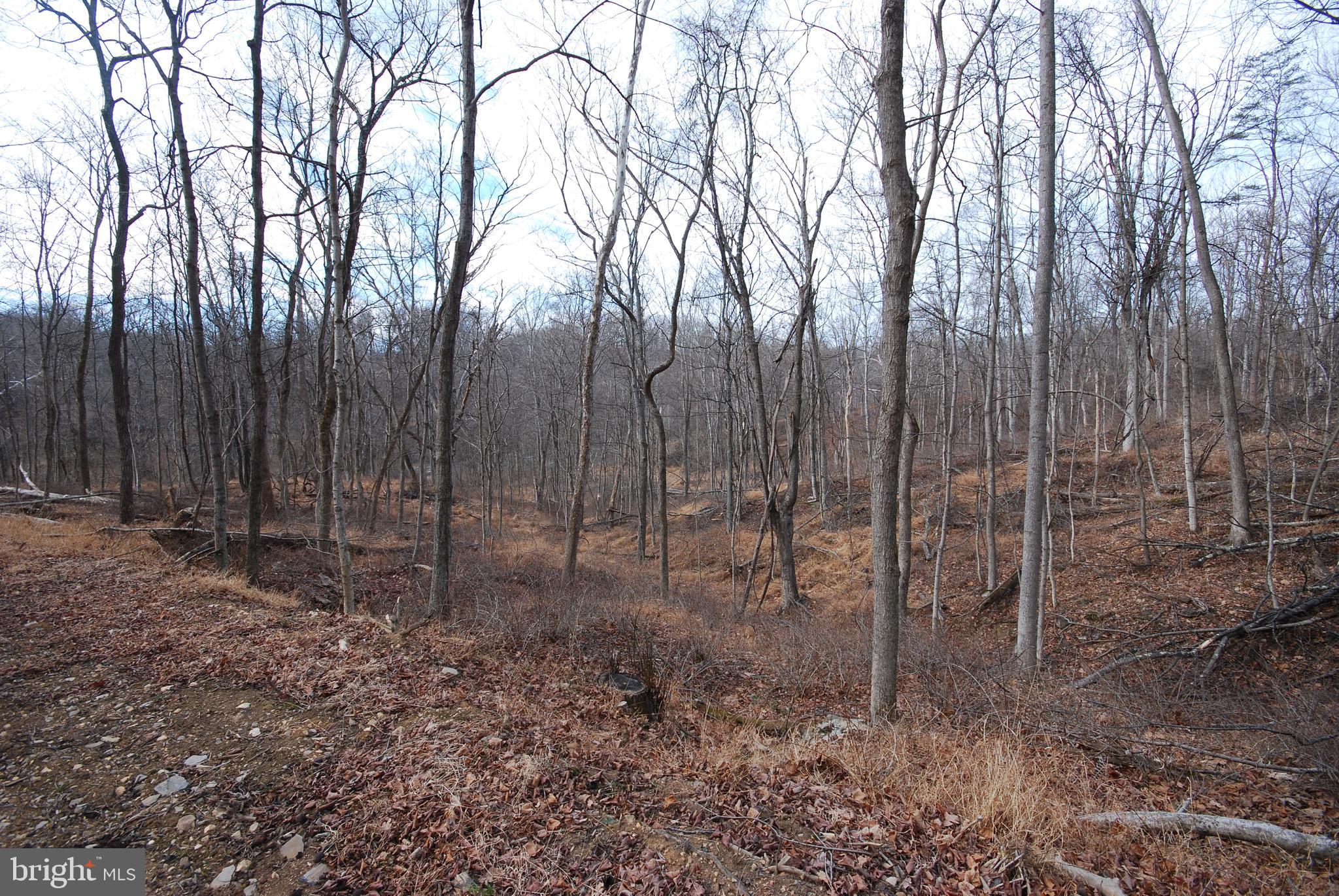 Sir Johns Run Road Berkeley Springs, WV 25411 - Photo 44 of 64