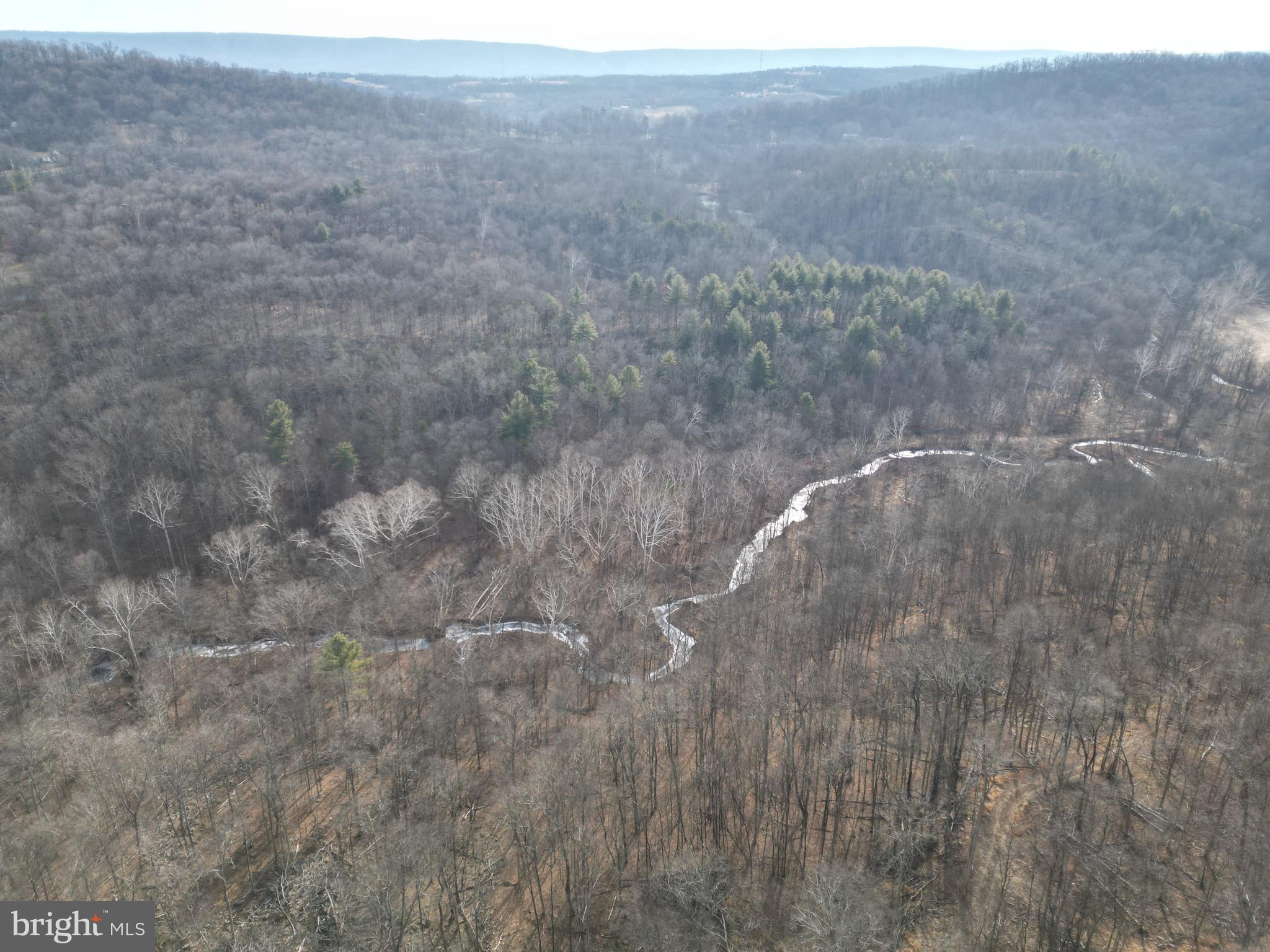 Sir Johns Run Road Berkeley Springs, WV 25411 - Photo 45 of 64