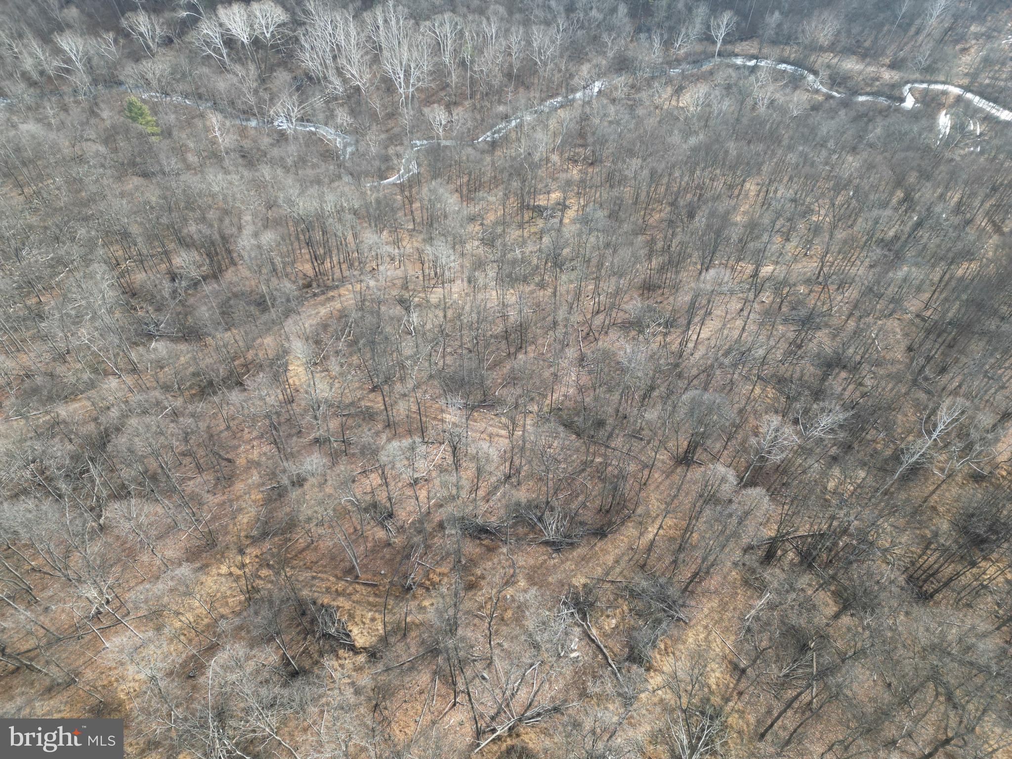 Sir Johns Run Road Berkeley Springs, WV 25411 - Photo 46 of 64