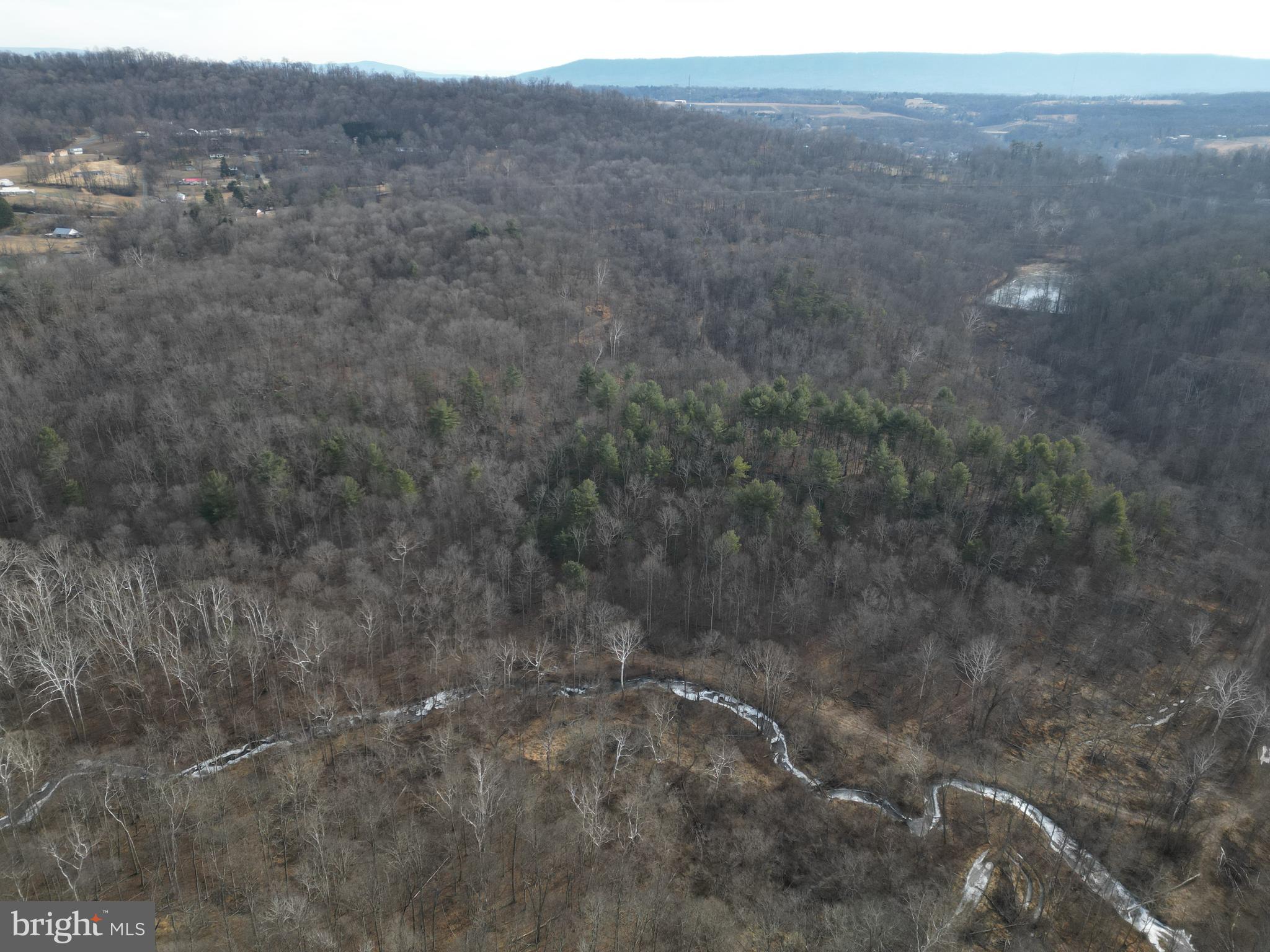 Sir Johns Run Road Berkeley Springs, WV 25411 - Photo 47 of 64