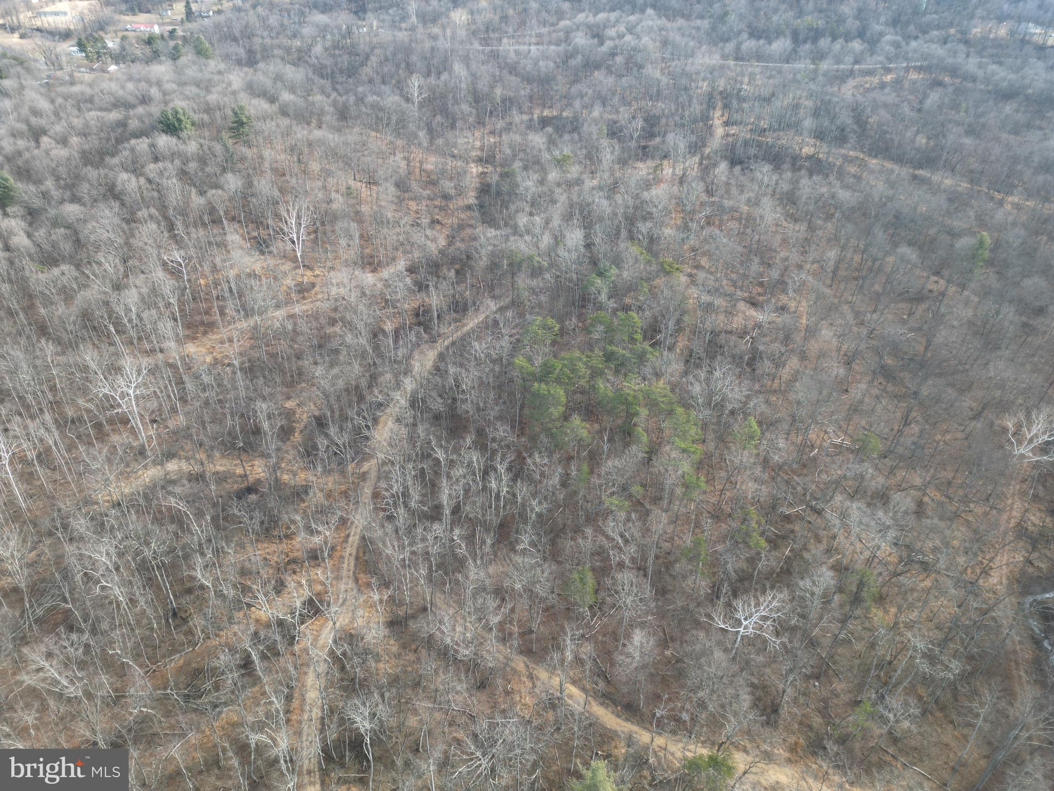 Sir Johns Run Road Berkeley Springs, WV 25411 - Photo 48 of 64